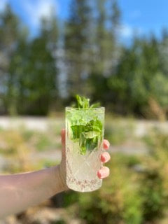 Mojito à la Menthe Sauvage