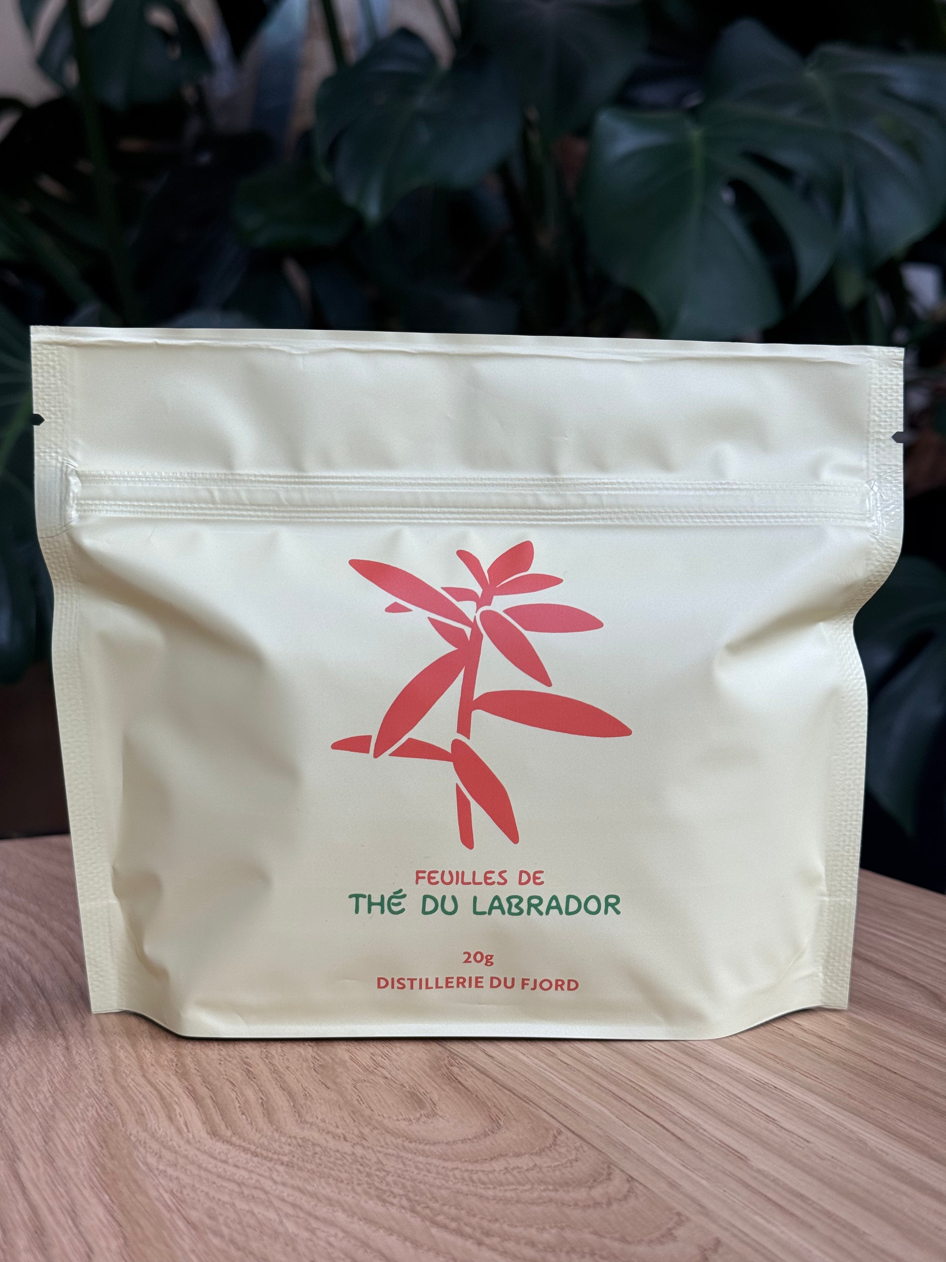 Tisane - Feuilles de Thé du Labrador